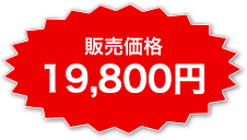販売価格19800円